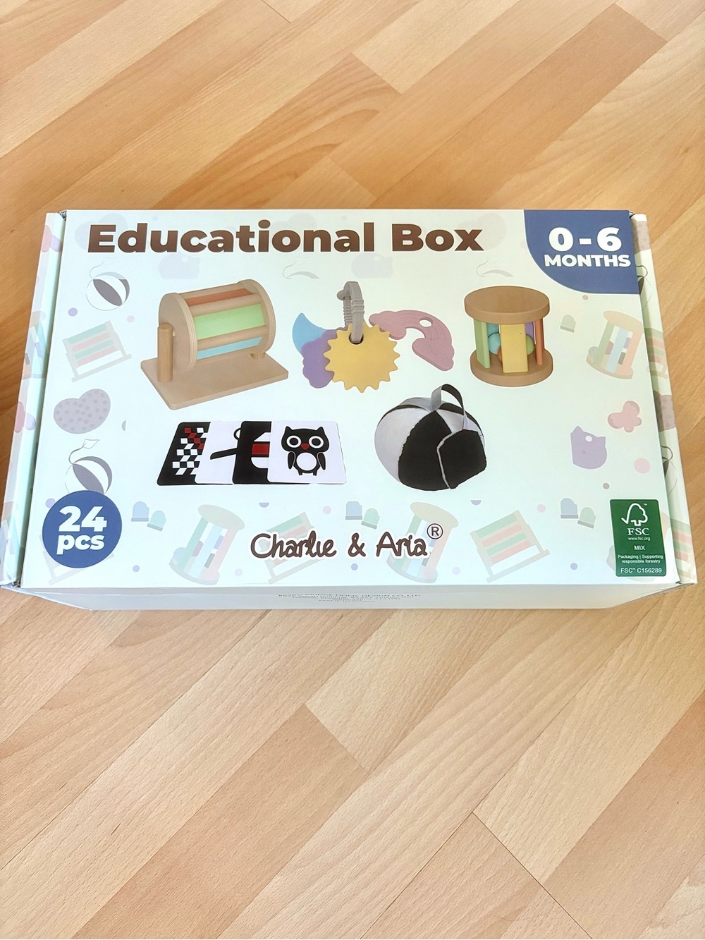 Developmental Toy Box for 0-6 MONTHS Charlie & Aria Teether Rattle Spinner *NEW*